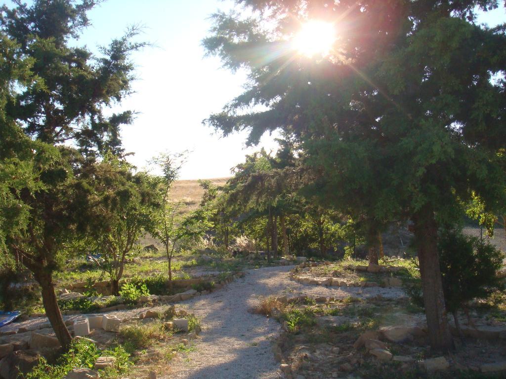Campo De Reyes Ξενοδοχείο Tafalla Εξωτερικό φωτογραφία